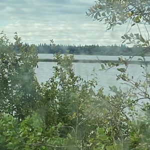 Meet your Posher, Zia